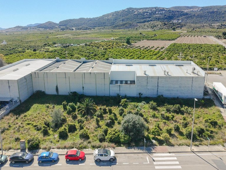 Plot for Sale in Alqueria De La Condesa, Valencia 3