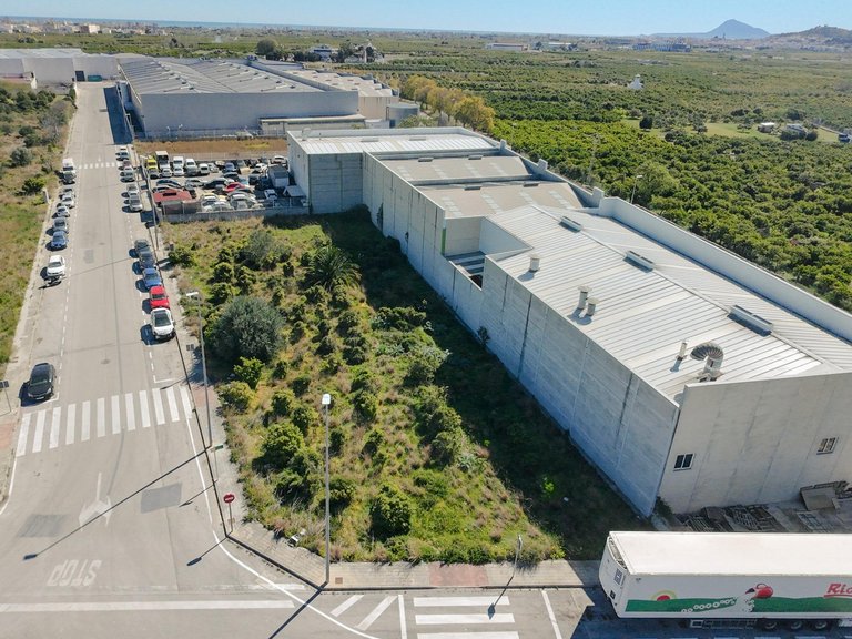 Plot for Sale in Alqueria De La Condesa, Valencia 4