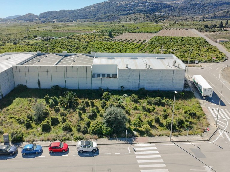 Plot for Sale in Alqueria De La Condesa, Valencia 5
