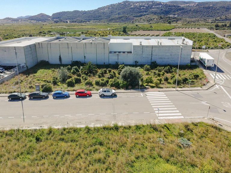 Plot for Sale in Alqueria De La Condesa, Valencia 6