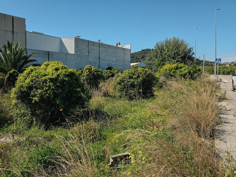 Plot for Sale in Alqueria De La Condesa, Valencia 9