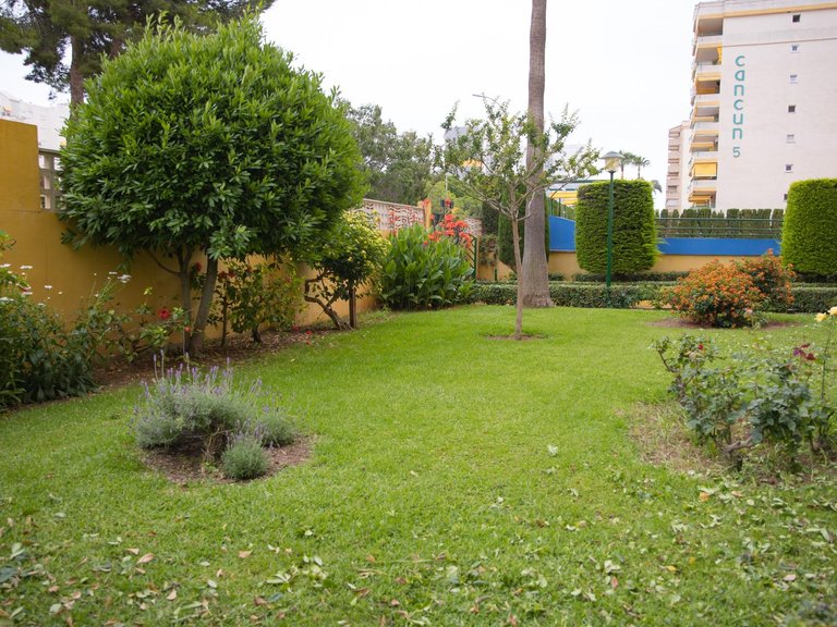 Apartment for Sale in Gandia, Valencia 37