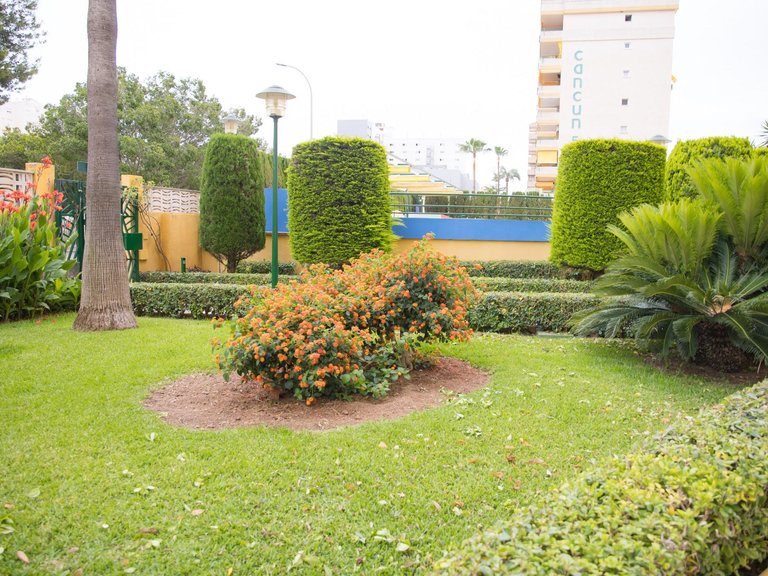 Apartment for Sale in Gandia, Valencia 39