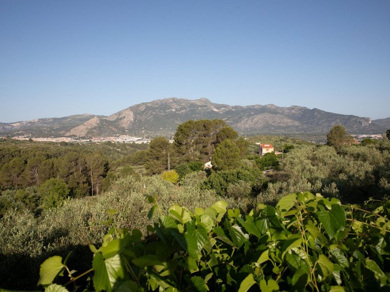 Villa for Sale in Benimarfull, Alicante 10