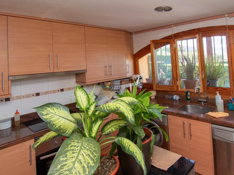 Villa for Sale in Benimarfull, Alicante 20