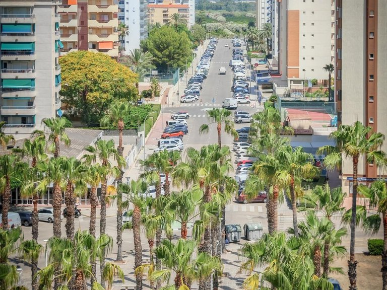 Apartment for Sale in Gandia, Valencia 12
