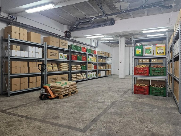 Commercial for Sale in Real De Gandia, Valencia 20