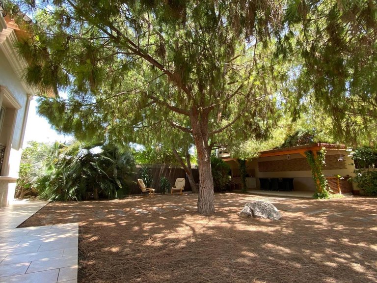 Villa for Sale in Costa Blanca Benijofar, Alicante 21
