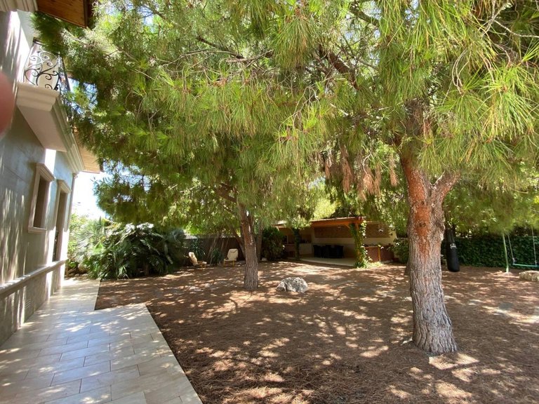 Villa for Sale in Costa Blanca Benijofar, Alicante 22