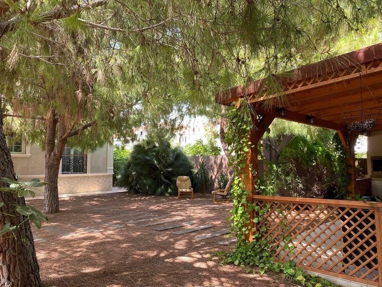 Villa for Sale in Costa Blanca Benijofar, Alicante 24