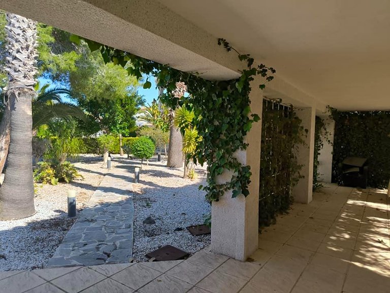 Villa for Sale in Costa Blanca Torrevieja, Alicante 6