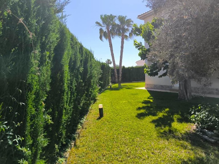 Villa for Sale in Costa Blanca Torrevieja, Alicante 8
