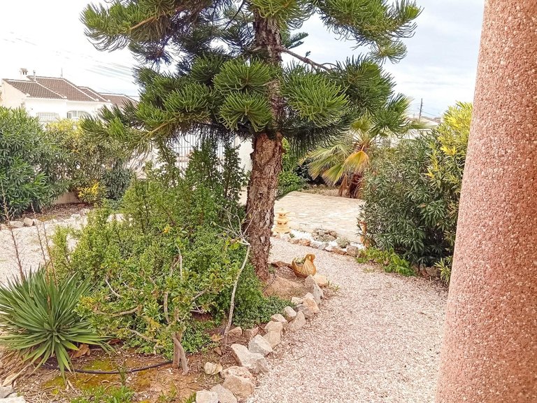 Villa for Sale in Costa Blanca Torrevieja, Alicante 10