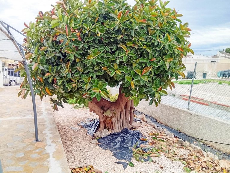 Villa for Sale in Costa Blanca Torrevieja, Alicante 25