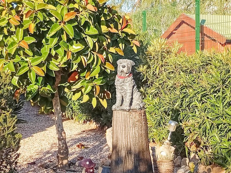 Villa for Sale in Costa Blanca Torrevieja, Alicante 30