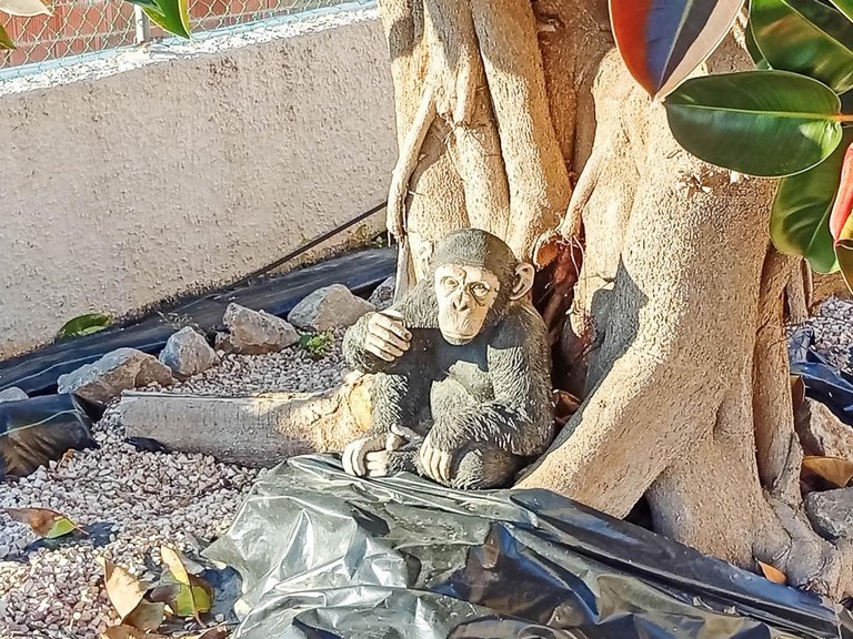 Villa for Sale in Costa Blanca Torrevieja, Alicante 32