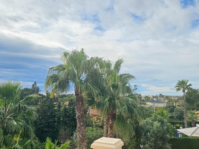 Villa for Sale in Costa Blanca Cabo Roig, Alicante 45