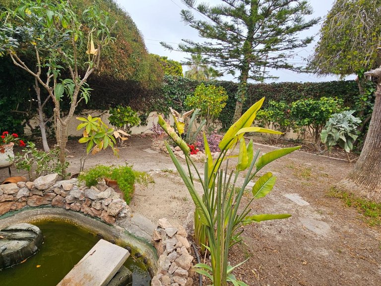 Villa for Sale in Costa Blanca Torrevieja, Alicante 3