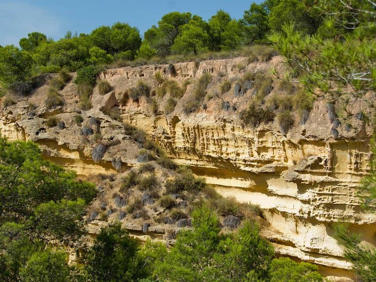 Villa for Sale in Costa Blanca Pilar De La Horadada, Alicante 14