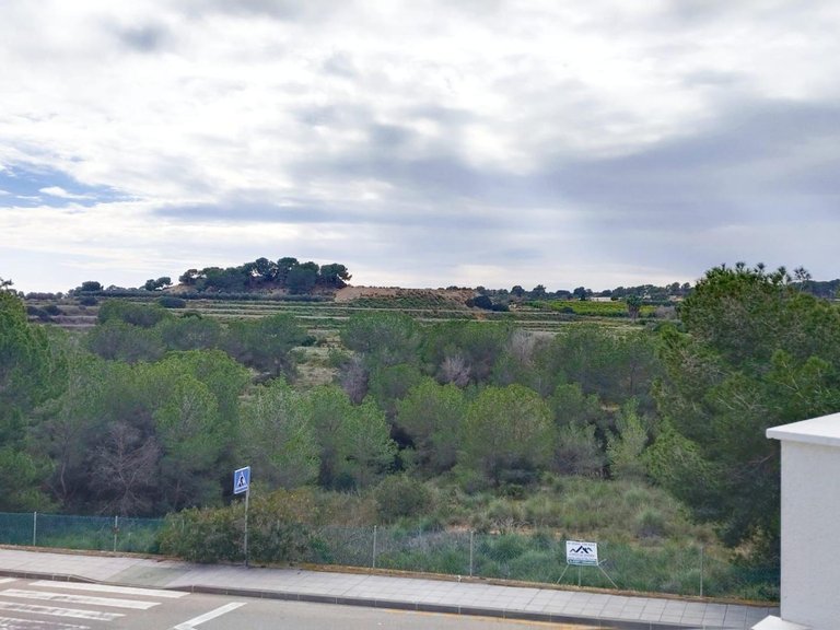 Villa for Sale in Costa Blanca Pilar De La Horadada, Alicante 17