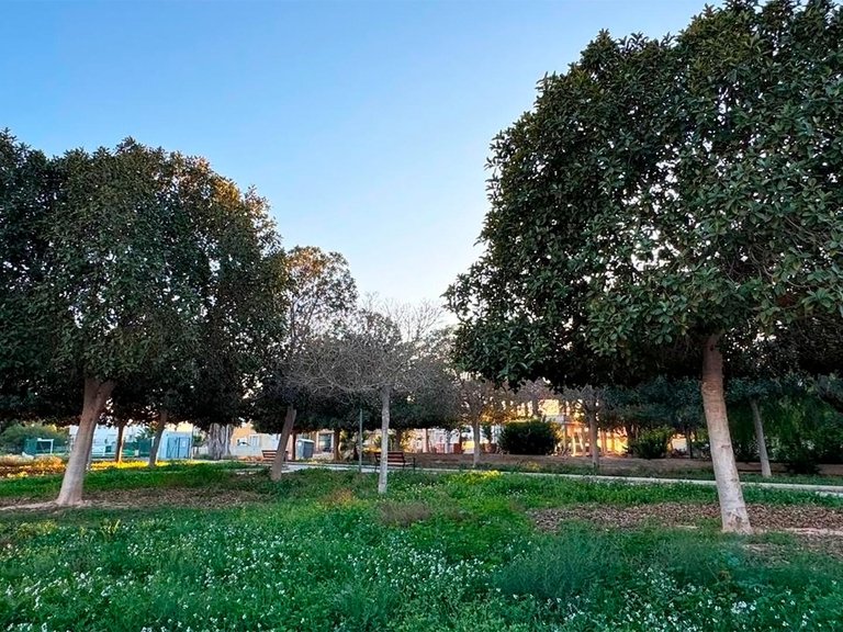 Villa for Sale in Inland Rojales, Alicante 8