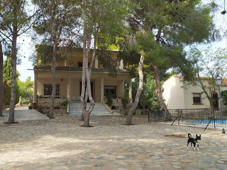 Villa for Sale in Costa Blanca Torrevieja, Alicante 1