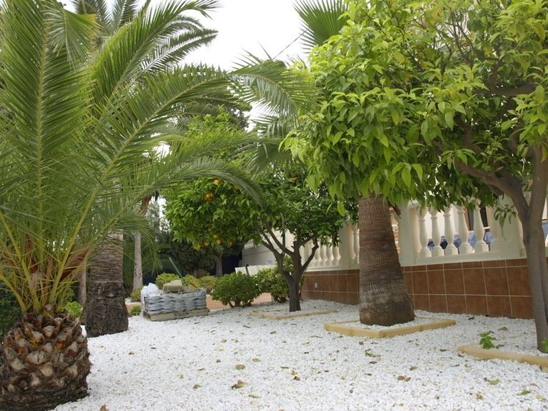 Villa for Sale in Albir Alfaz Del Pi, Alicante 6