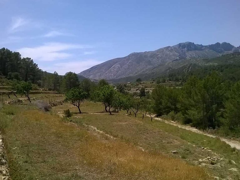 Plot for Sale in Benissa Benissa, Alicante 1