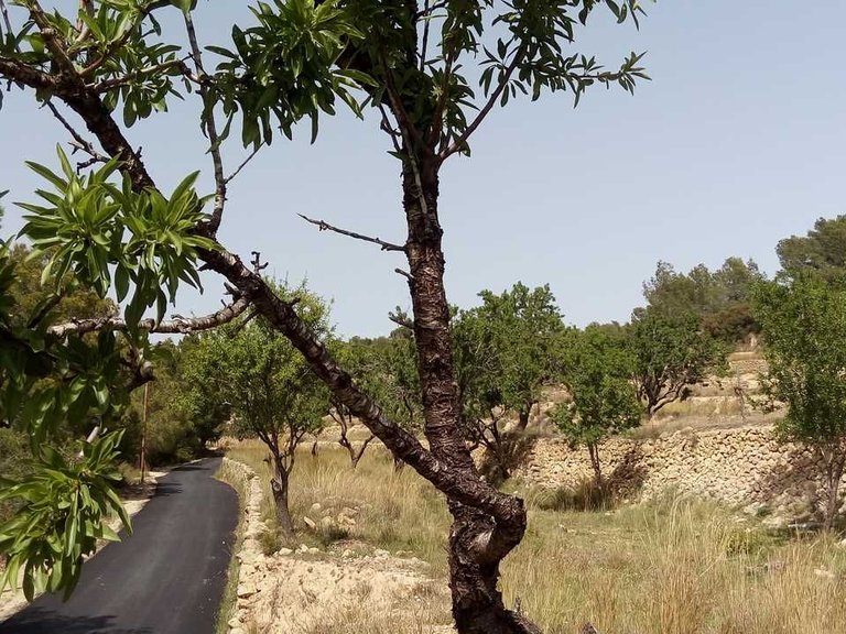 Plot for Sale in Benissa Benissa, Alicante 5