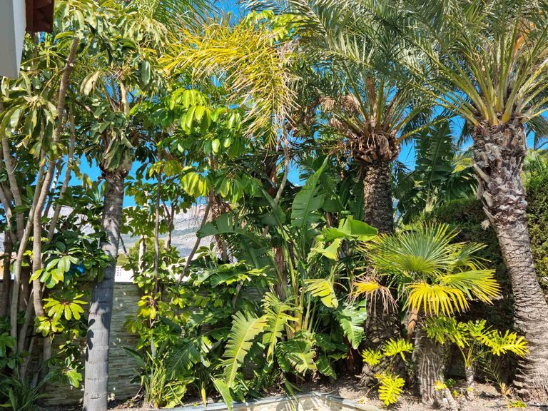 Villa for Sale in Altea Altea, Alicante 39