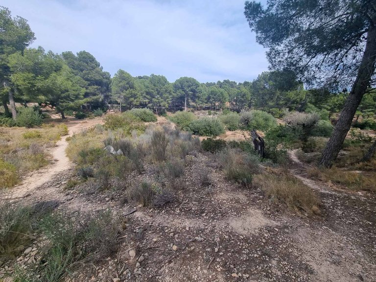 Plot for Sale in Alfaz del Pi Alfaz Del Pi, Alicante 1