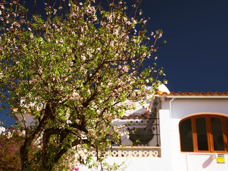 Town House for Sale in Albir Alfaz Del Pi, Alicante 2