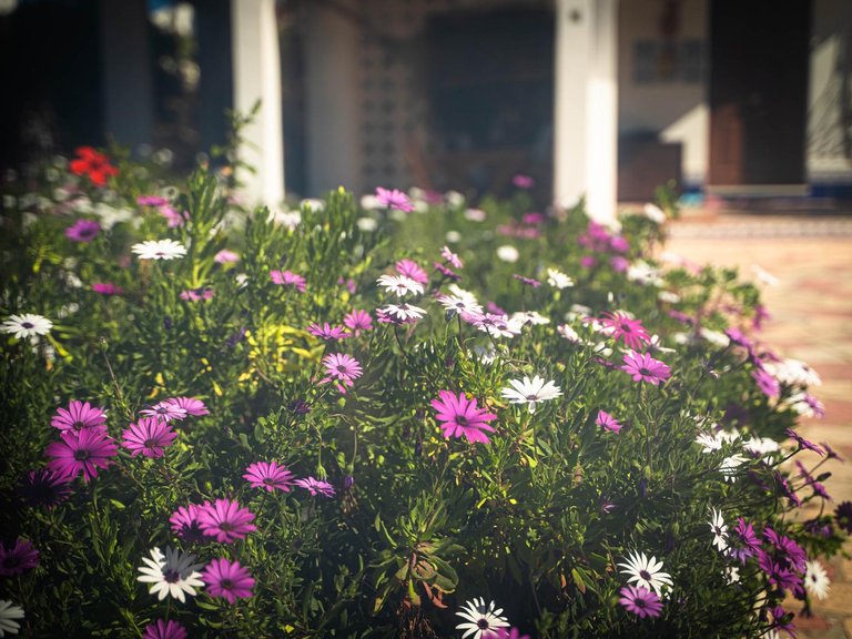 Town House for Sale in Albir Alfaz Del Pi, Alicante 32