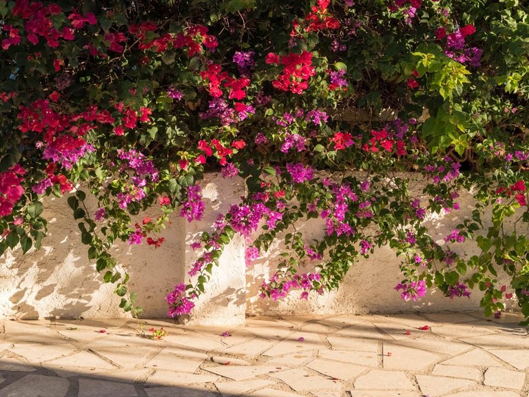 Town House for Sale in Albir Alfaz Del Pi, Alicante 33