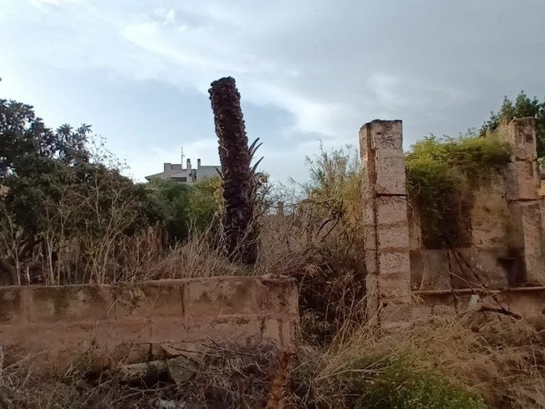 Town House for Sale in Llucmajor (Pueblo), Llucmajor, Balearic Islands 10