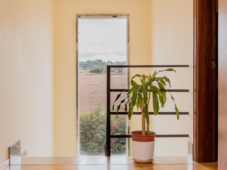 Villa for Sale in Sant Jordi, Palma De Mallorca, Balearic Islands 35