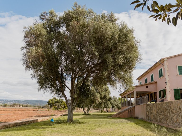 Villa for Sale in Sant Jordi, Palma De Mallorca, Balearic Islands 49