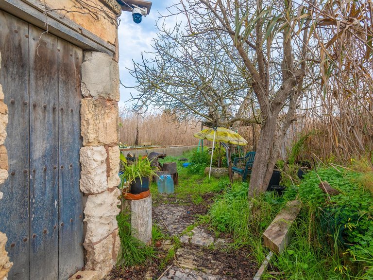 Country House for Sale in Pobla (Sa), Sa Pobla, Balearic Islands 10