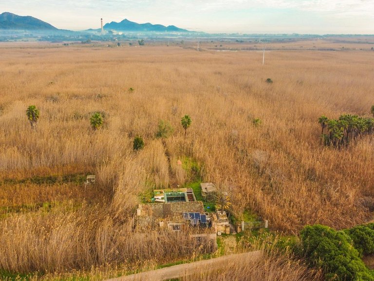 Country House for Sale in Pobla (Sa), Sa Pobla, Balearic Islands 31