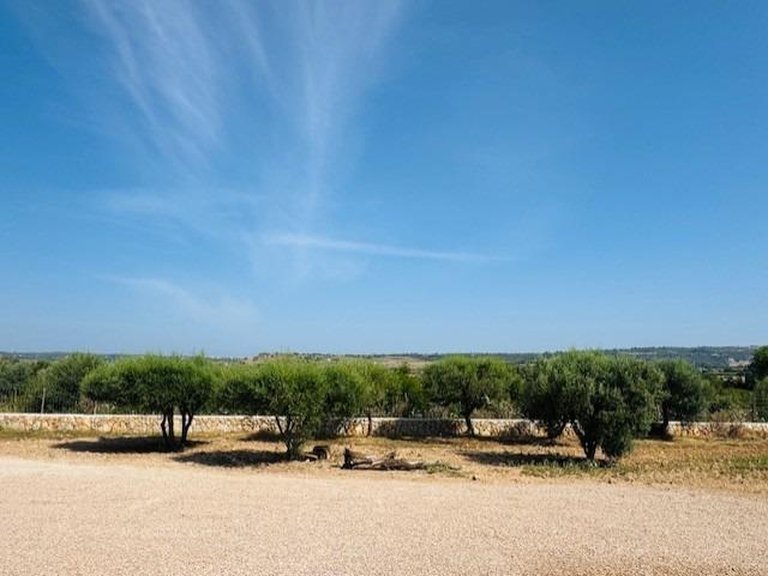 Country House for Sale in Petra, Balearic Islands 15