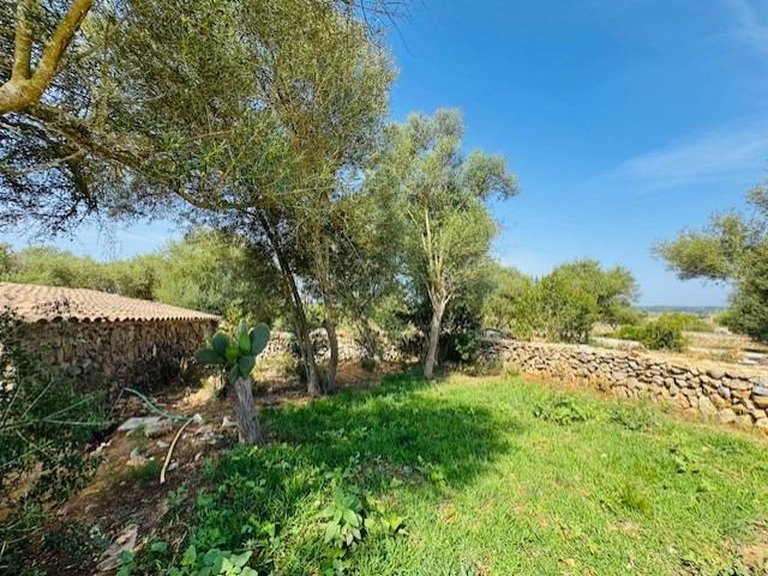 Country House for Sale in Petra, Balearic Islands 32