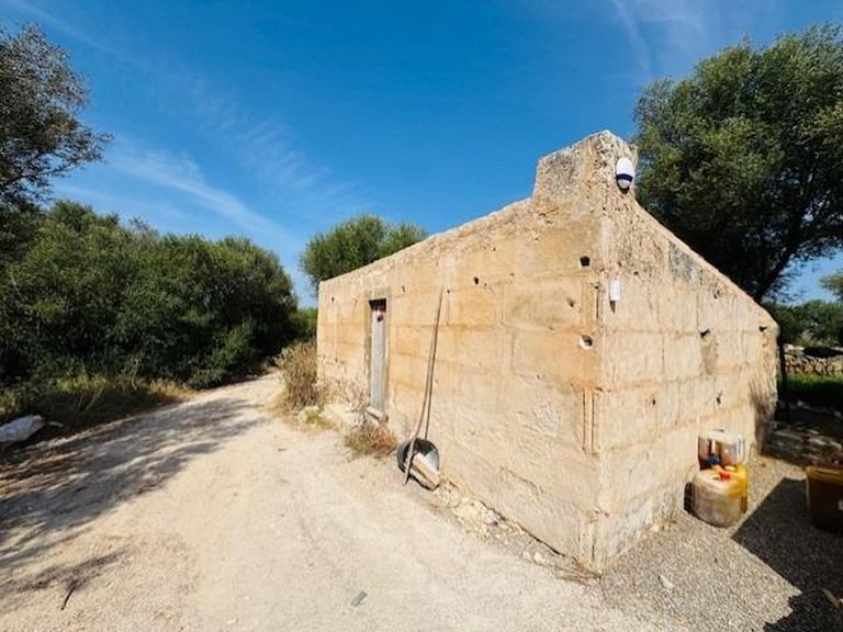 Country House for Sale in Petra, Balearic Islands 36