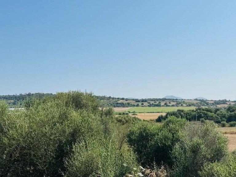 Country House for Sale in Petra, Balearic Islands 46