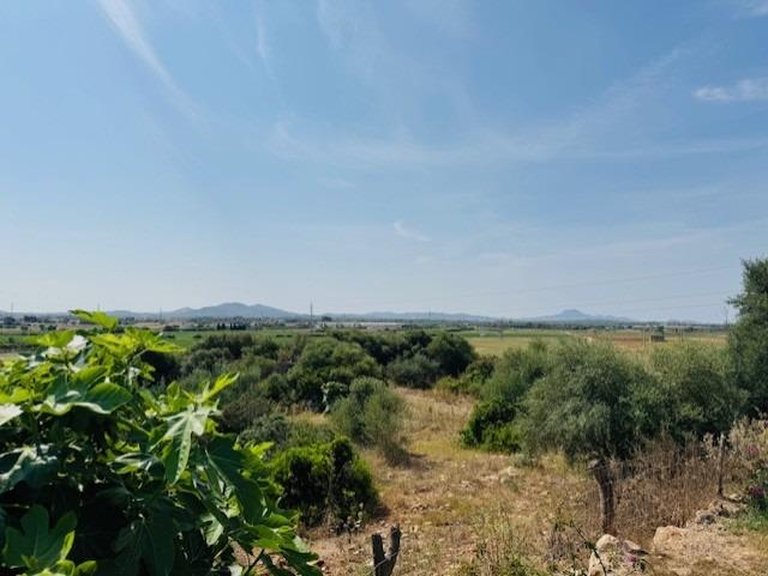 Country House for Sale in Petra, Balearic Islands 47