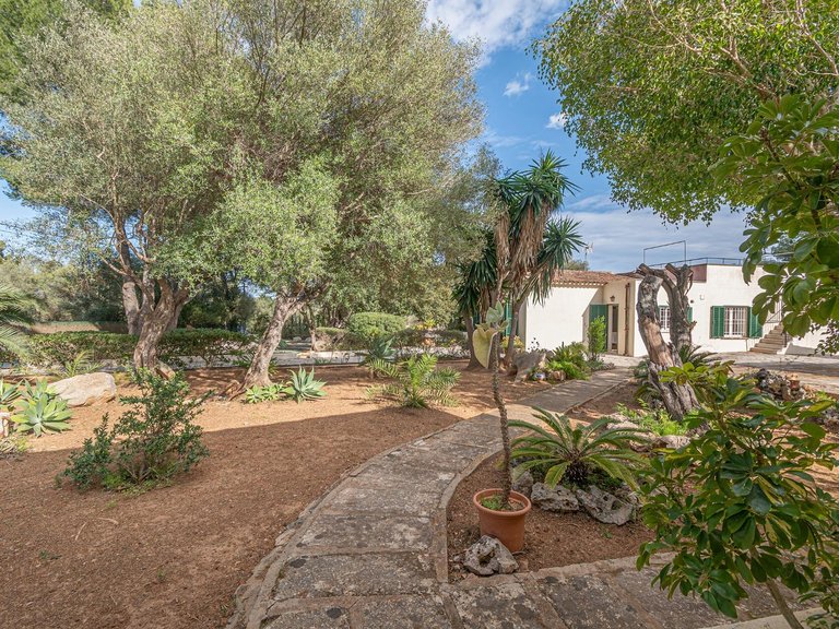Villa for Sale in Cala Murada, Manacor, Balearic Islands 35