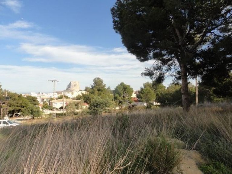 Plot for Sale in Canuta I, Calpe, Alicante 4