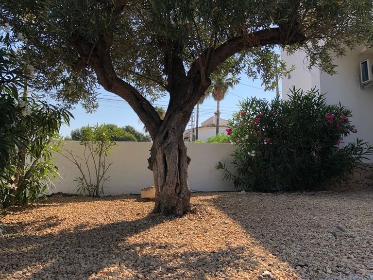 Villa for Sale in Carrio, Calpe, Alicante 9