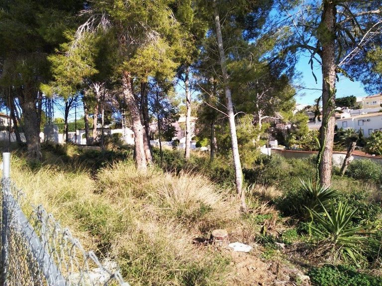 Plot for Sale in Gran sol, Calpe, Alicante 1