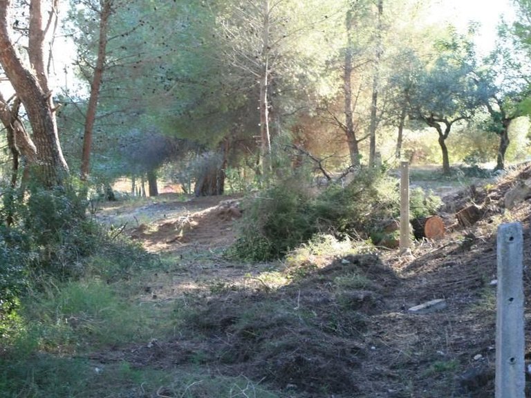 Plot for Sale in Benitachell/el Poble Nou de Benitatxell, Benitachell, Alicante 5