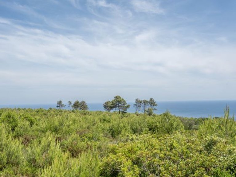Plot for Sale in Montañar I, Jávea - Xàbia, Alicante 2